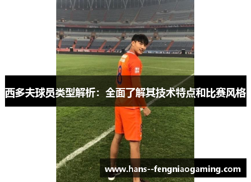 西多夫球员类型解析:全面了解其技术特点和比赛风格 西多夫球员类型解析:全面了解其技术特点和比赛风格