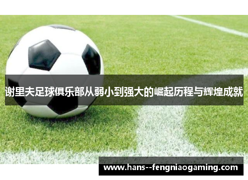 谢里夫足球俱乐部从弱小到强大的崛起历程与辉煌成就 谢里夫足球俱乐部从弱小到强大的崛起历程与辉煌成就