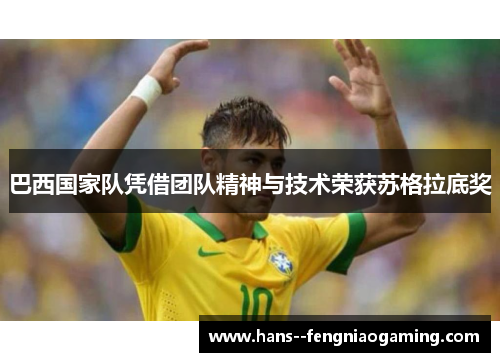 巴西国家队凭借团队精神与技术荣获苏格拉底奖 巴西国家队凭借团队精神与技术荣获苏格拉底奖