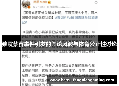 魏震禁赛事件引发的舆论风波与体育公正性讨论